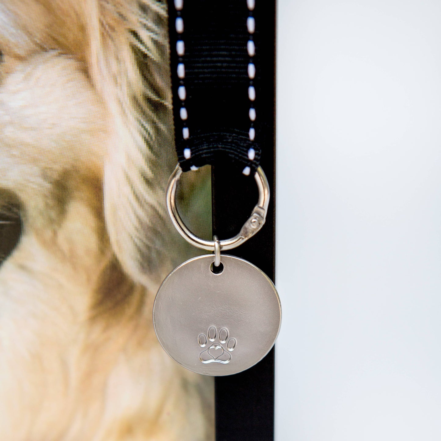 Pawprints Left By You Pet Memorial Frame for  Dog 6070
