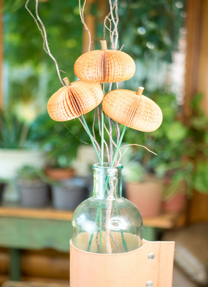 Book Pumpkin Cutie Stems-Fall Decor-Halloween Decor