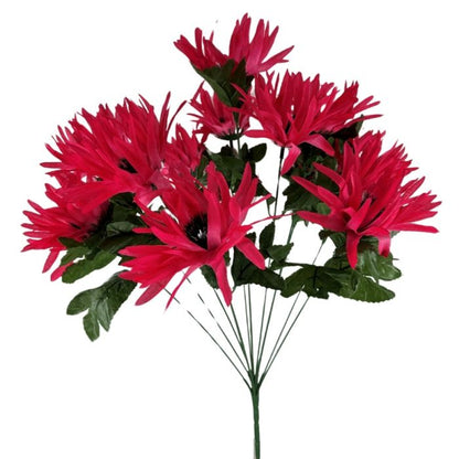 Spider Mum