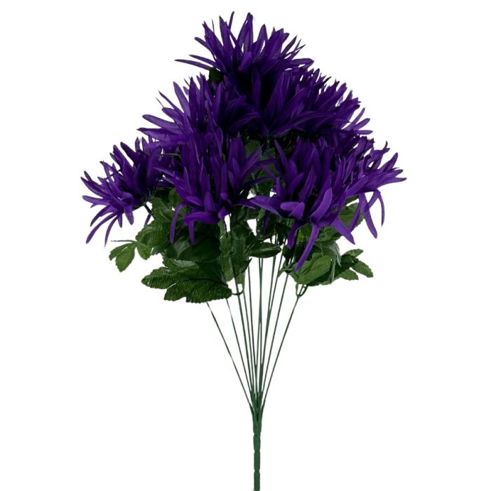 Spider Mum