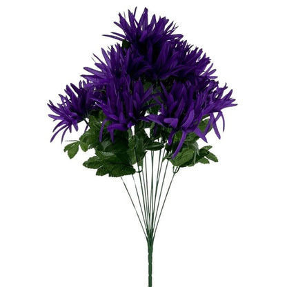 Spider Mum