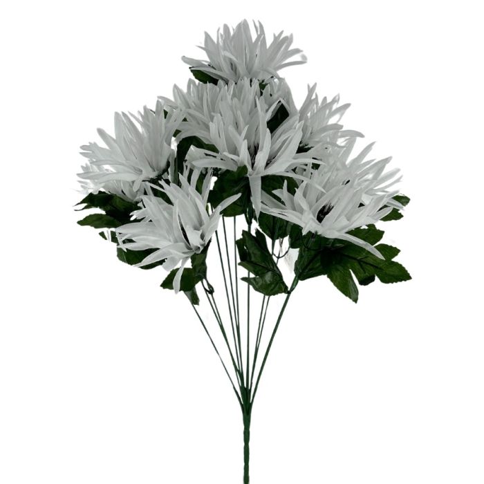 Spider Mum
