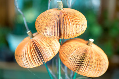 Book Pumpkin Cutie Stems-Fall Decor-Halloween Decor