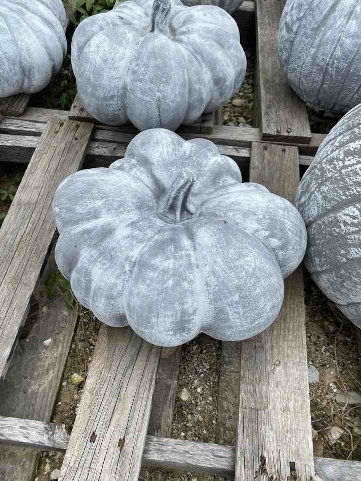 Cement Pumpkin 10