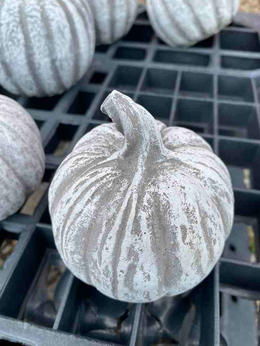 Cement Pumpkin 9