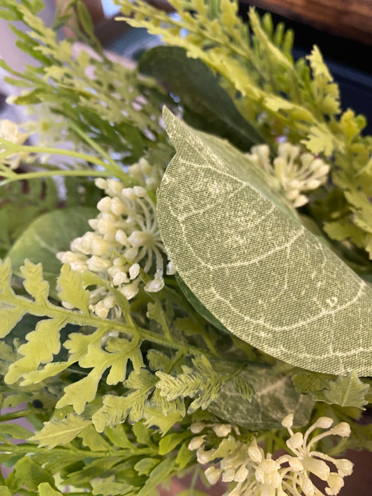 Queen Ann foliage