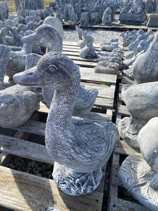 Medium Textured Goose 22”