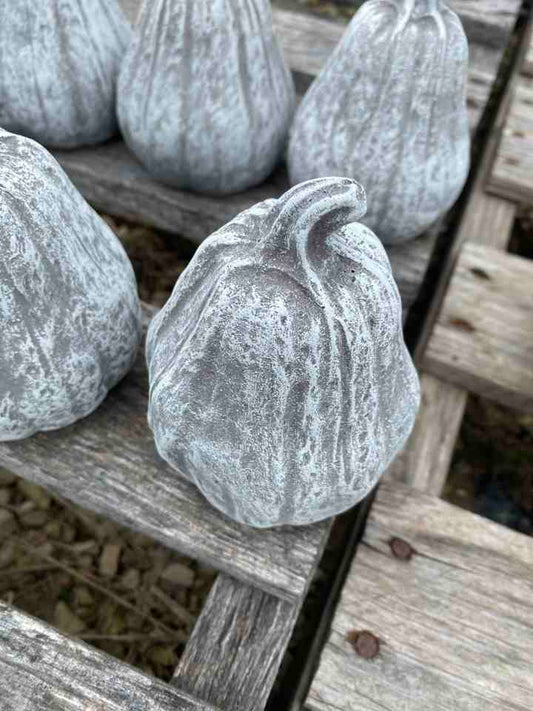 Cement pumpkin 8