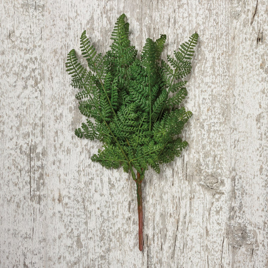 Lacy Fern Pick