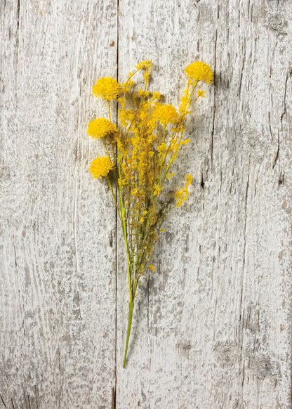 Pick - Thistle Mix Yellow