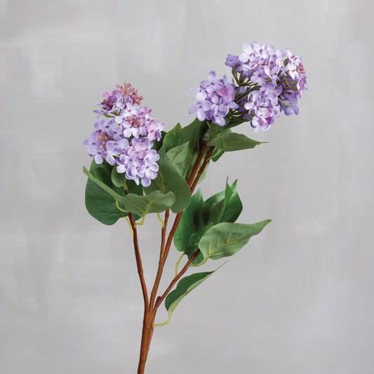 Lilac Pick
