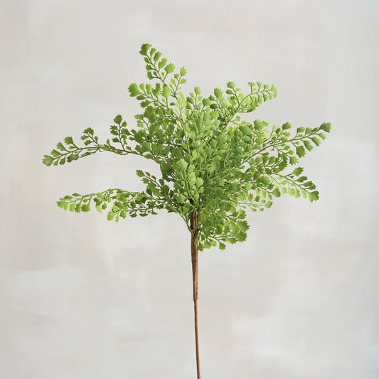 Maidenhair Fern Pick
