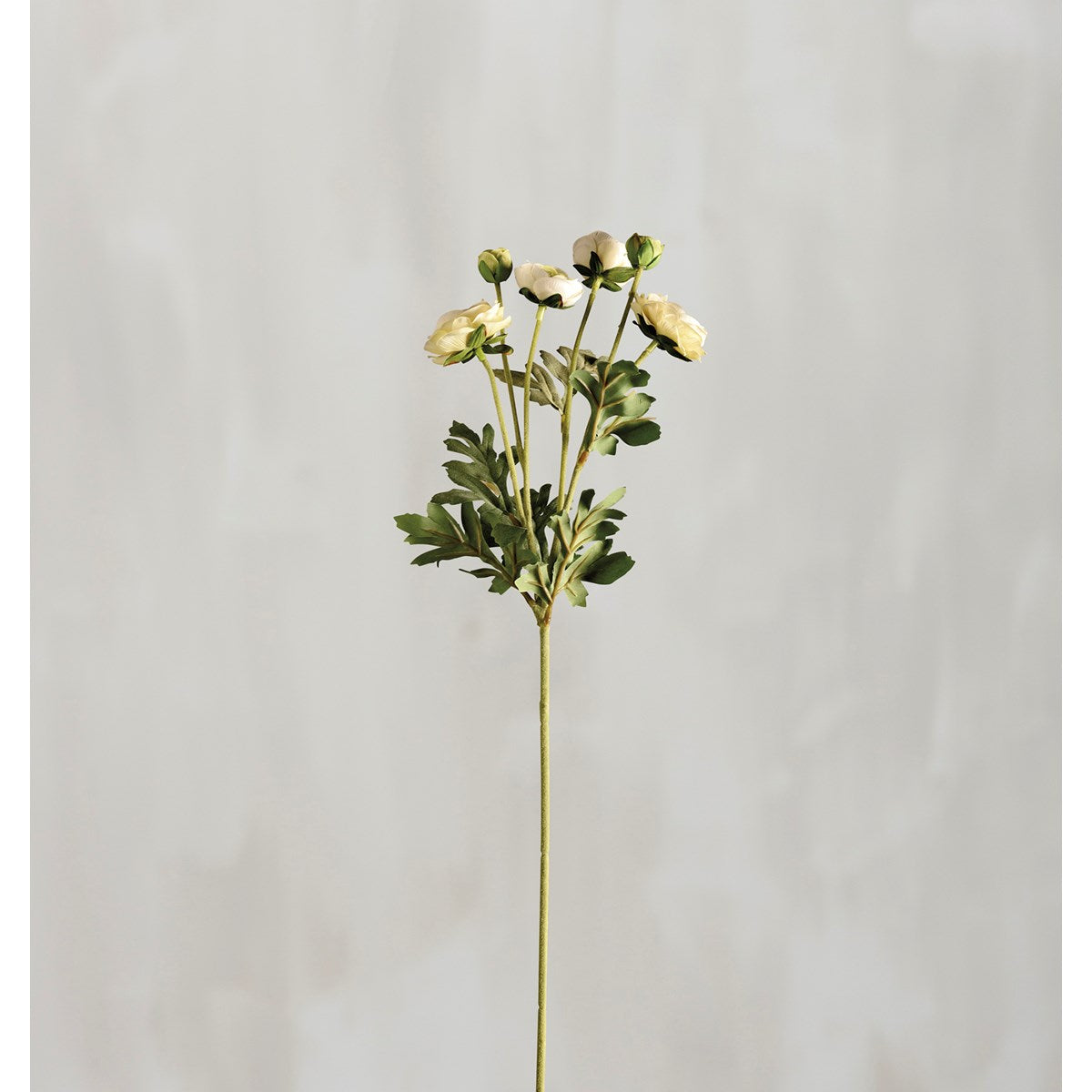 Floral Pick - White Ranunculus