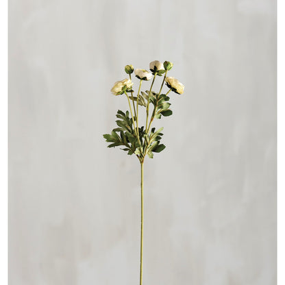 Floral Pick - White Ranunculus
