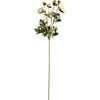 Floral Pick - White Ranunculus