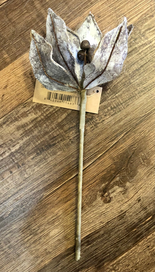 Small Birch Poinsettia