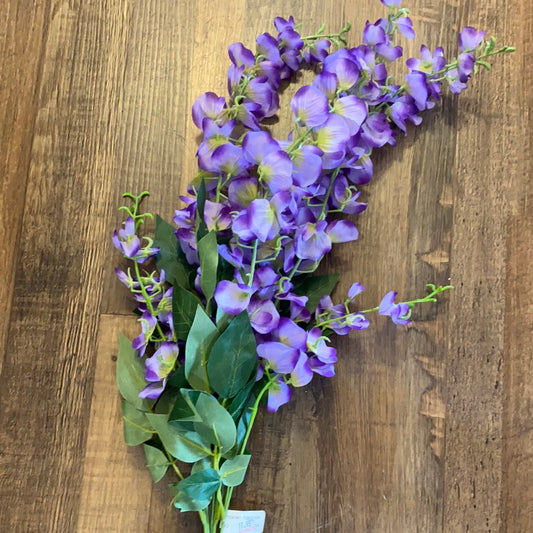 Wisteria