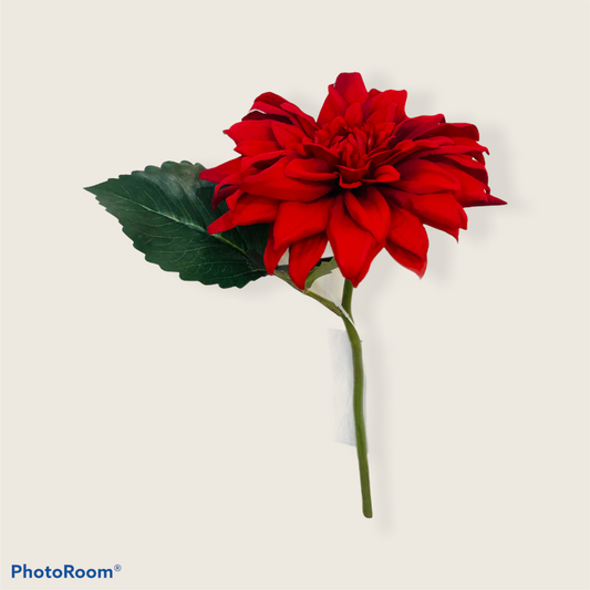 Red Dahlia stem