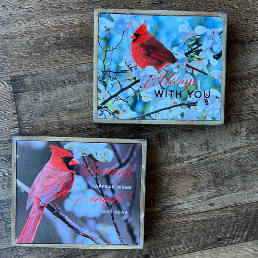 Cardinal Wooden/Canvas Wall Block Sign
