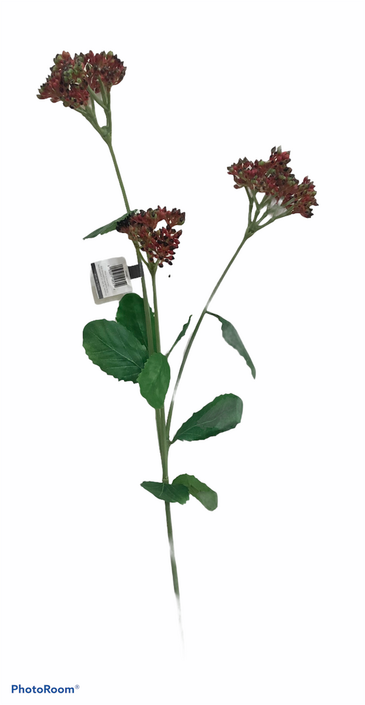 Berry Spray floral