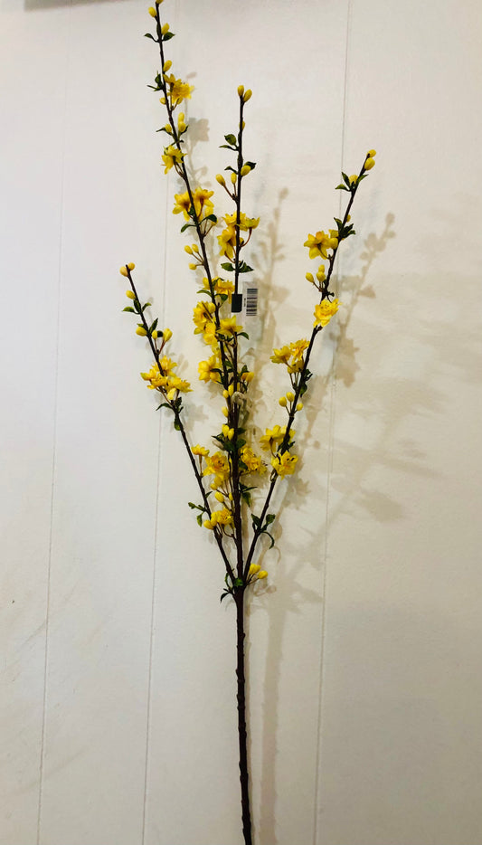 Yellow flowering Almond