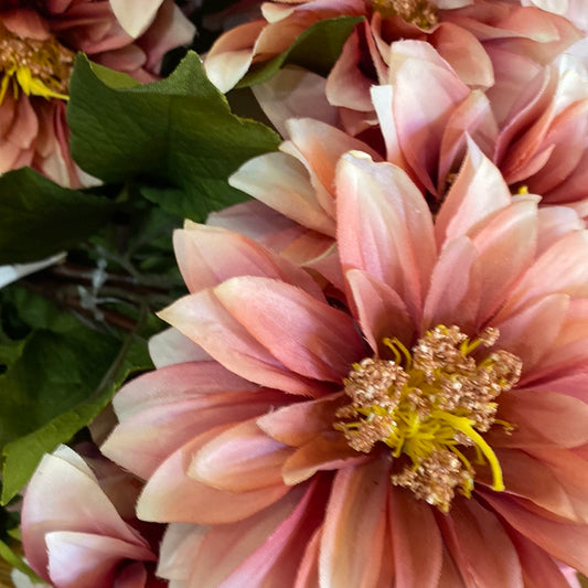 Dahlia Stem