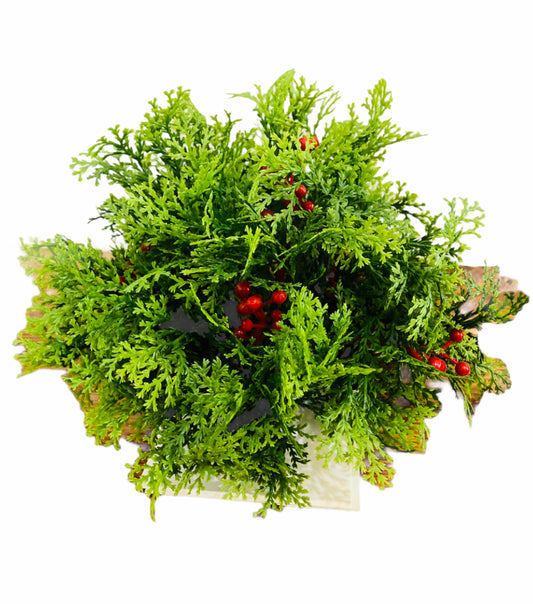 Fern Christmas w/Coral