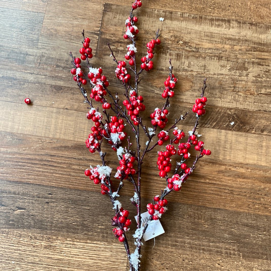 Snowy Berry Spray