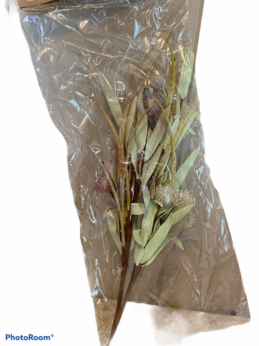 2 Assorted Sweetgum Picks